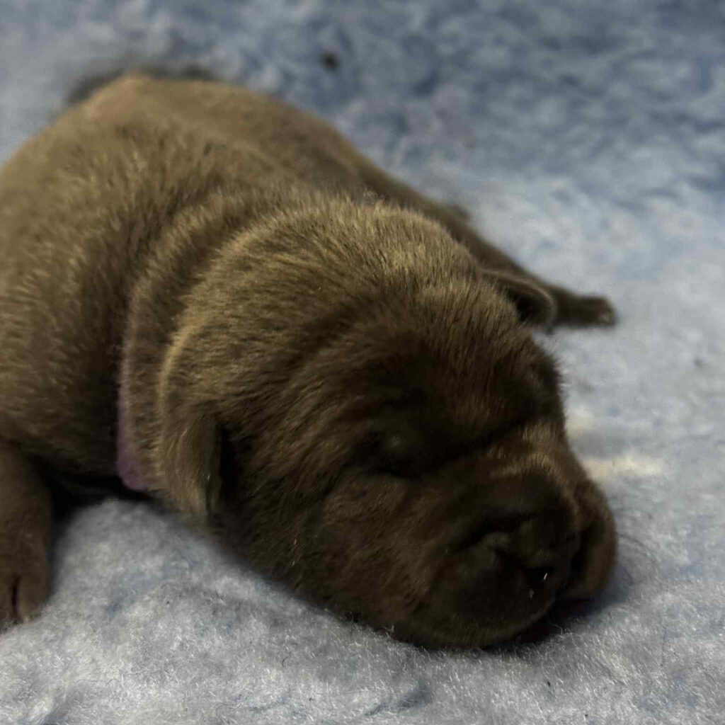 1b862167-4707-42da-af4a-3344b2c61154