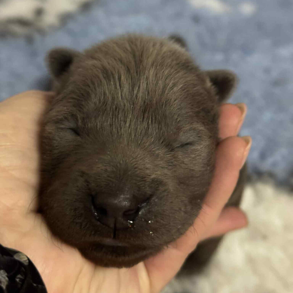 33a9e25e-eb07-45a1-ae48-04637fb965d4