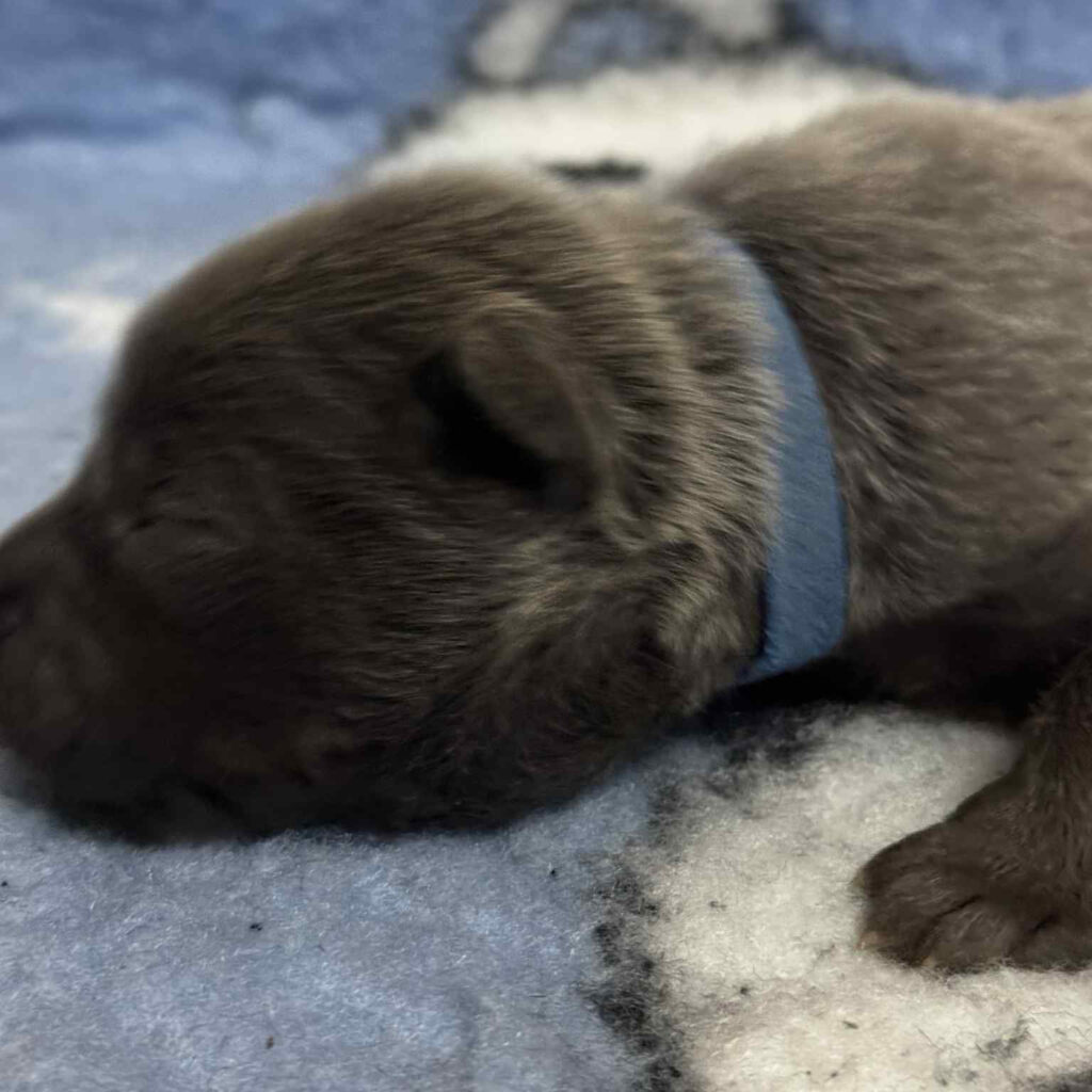 a6435870-5309-4d72-b7b3-d6932f27731c